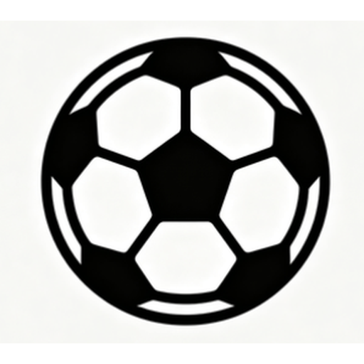 风速体育 Logo